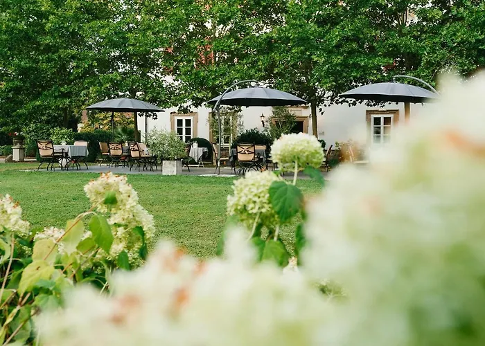 Otel Schloss Lehen Bad Friedrichshall